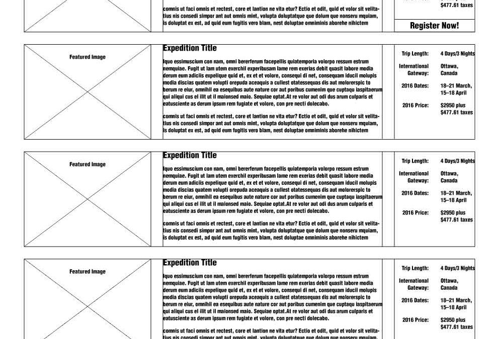 JG_ArcticKingdom_Wireframes_Browser_05